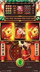 RR33 · Piggy Gold